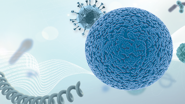 Xét nghiệm nhanh kháng nguyên Covid chủng Omicron: Ngoáy mũi có đủ không?