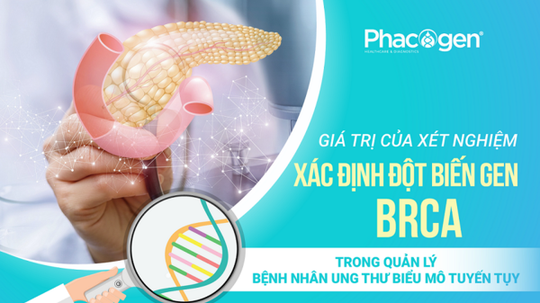Quản lý các bệnh nhân ung thư biểu mô tuyến tuỵ mang đột biến gen BRCA