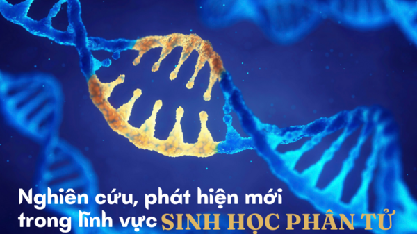Những nghiên cứu, phát hiện mới trong lĩnh vực sinh học phân tử năm 2023