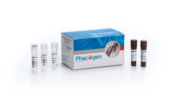 Nguy hiểm tiềm tàng từ liên cầu khuẩn nhóm B (GBS)