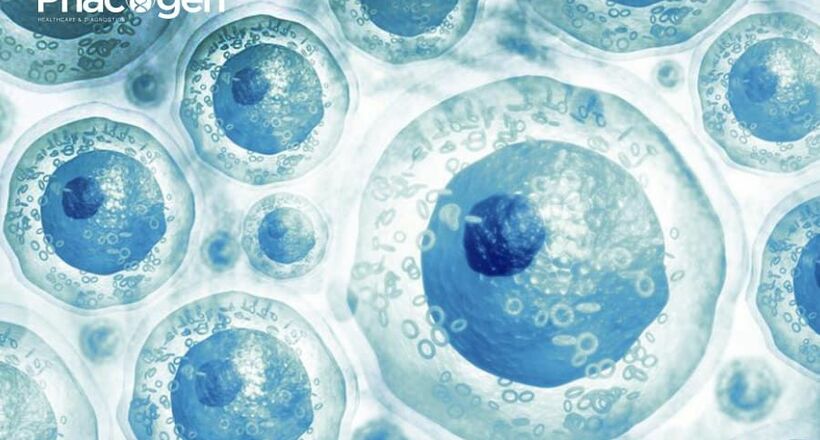 For stem cells, bigger doesn’t mean better