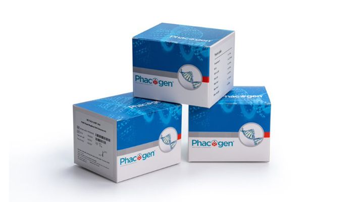 Magnetic beads nucleic acids extraction kits