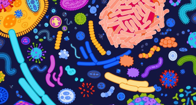 Microbiome - the next chapter of precision medicine