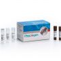 Group B Streptococcus Realtime PCR Kit
