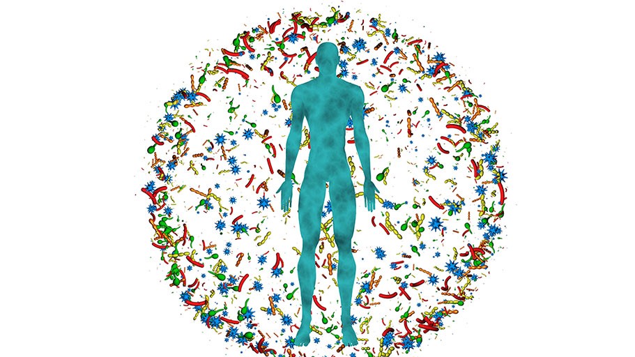 ỨNG DỤNG CÔNG NGHỆ GIẢI TRÌNH TỰ GEN NGS-ILLUMINA TRONG GIẢI TRÌNH TỰ 16S METAGENOMICS